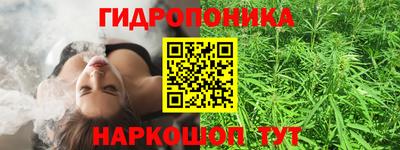 марихуана Кингисепп